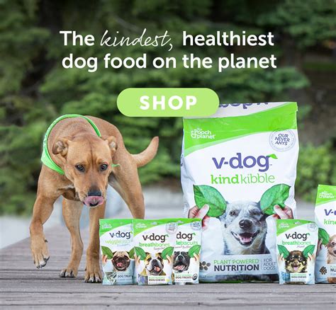 vdog dog food